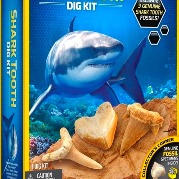 Shark Tooth Dig Kit - Picture 1 of 5